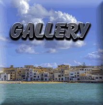 Smugmug Gallery
